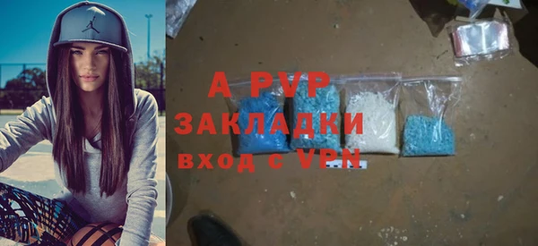 прущие грибы Верхний Тагил