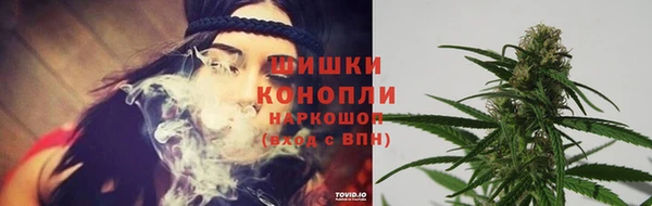 прущие грибы Верхний Тагил