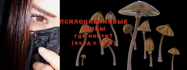 стафф Верея