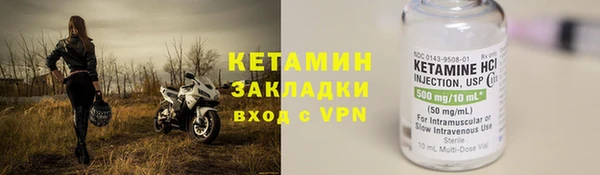 прущие грибы Верхний Тагил