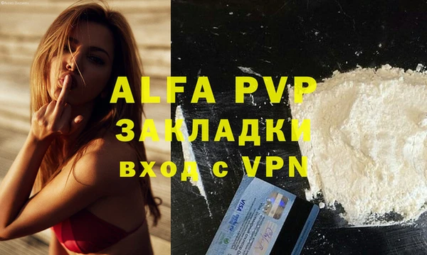 прущие грибы Верхний Тагил