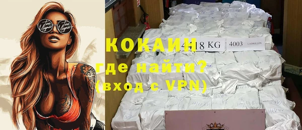 прущие грибы Верхний Тагил