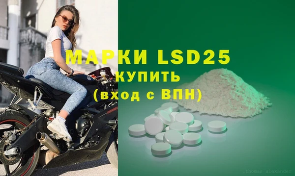 прущие грибы Верхний Тагил